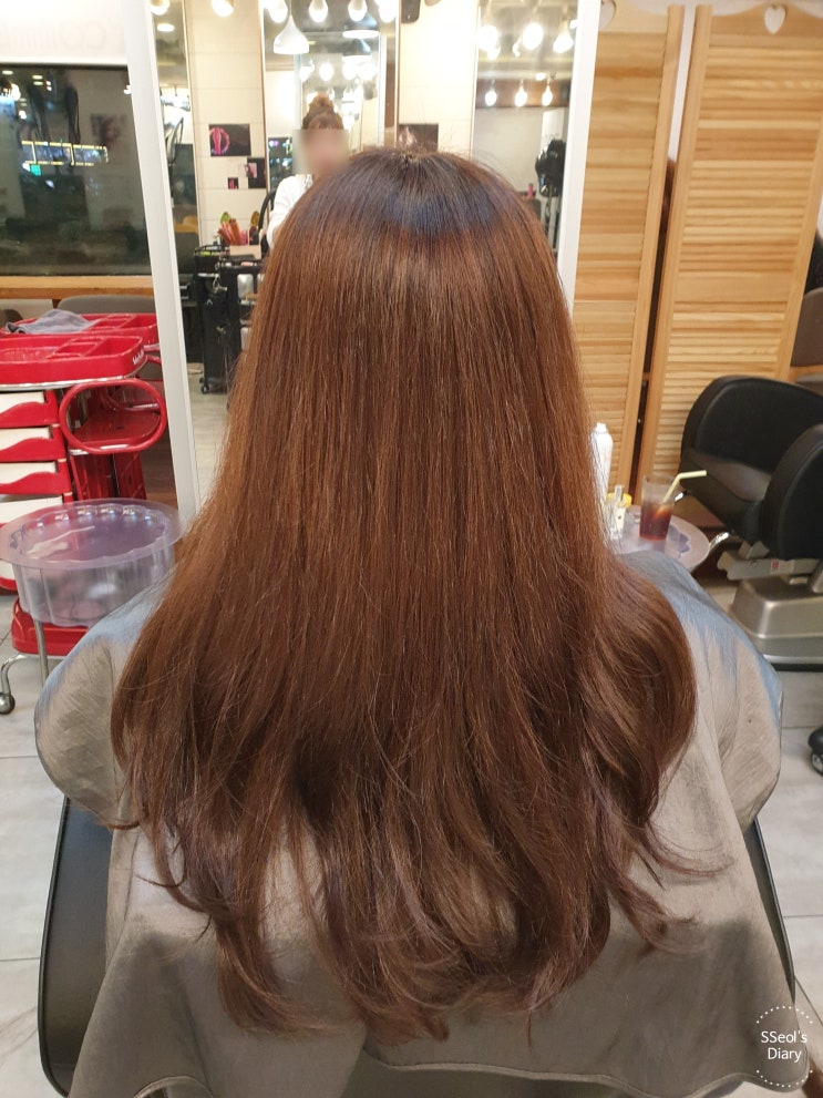  화정역 미용실 추천 :: 콤웨이브 남/여 염색 후기