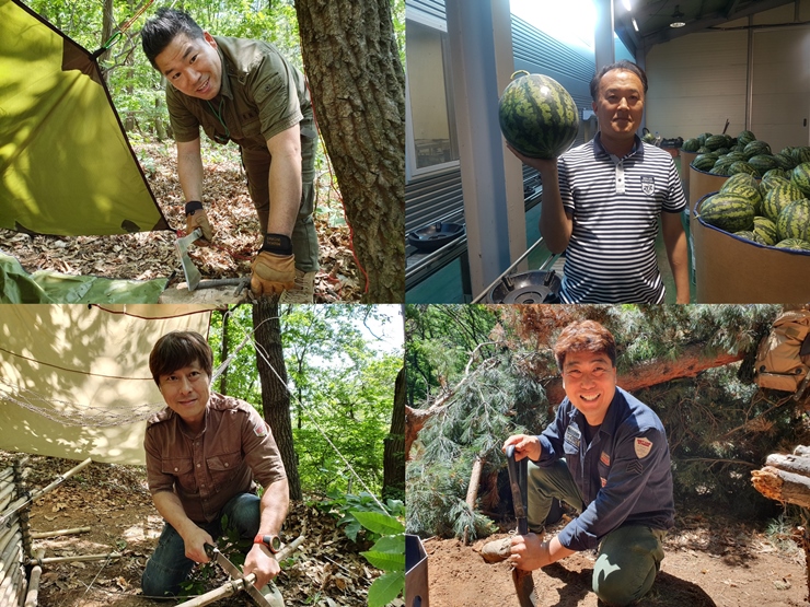 <생활의 달인> 떡볶이, 와일드 캠핑, 수박 선별, 시래기김밥의 달인 <생활의 달인> 떡볶이, 와일드 캠핑, 수박 선별, 시래기김밥의 달인