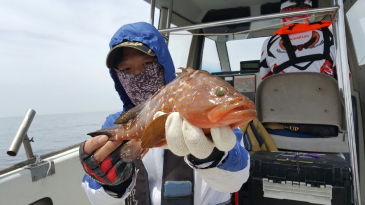  [2019-06-01]경남 고성 나무여 참돔타이라바, 포인트 탐사하며 붉바리회 맛 본 날!!