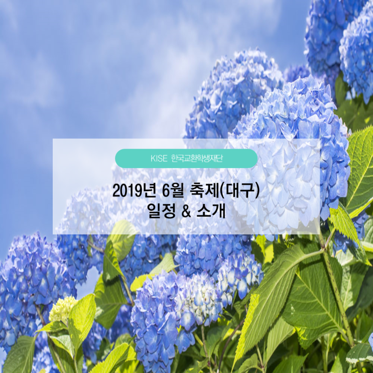  [KISE] 2019년 6월 축제 소개 / 6월 축제 / 대구축제 / 그랜드 뮤직 페스티벌 / 수제맥주 페스티벌 / 국제뮤지컬 페스티벌 / 이월드 수국축제 / 한국교환학생재단