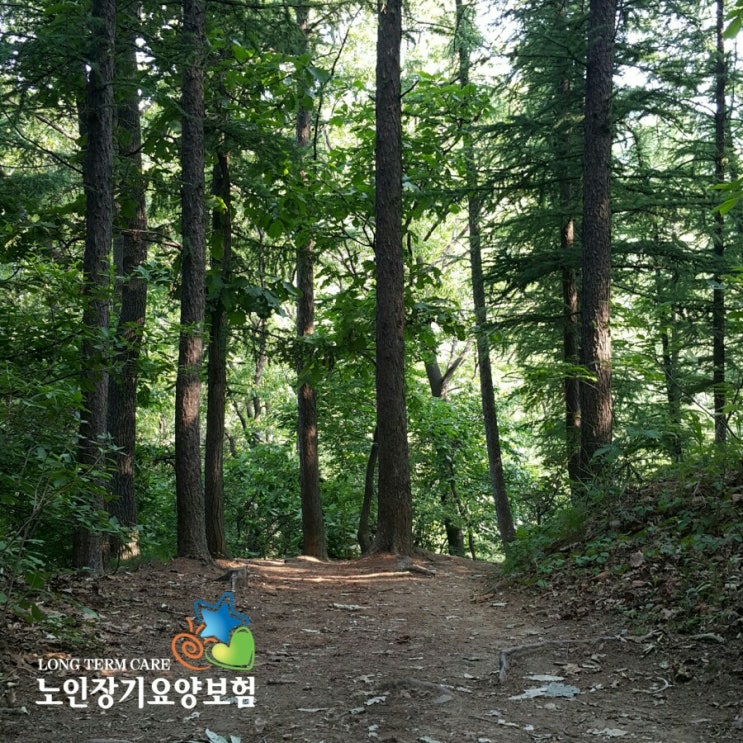  노인장기요양등급 판정절차와 장기요양등급 종류 [입주요양보호사 안내]