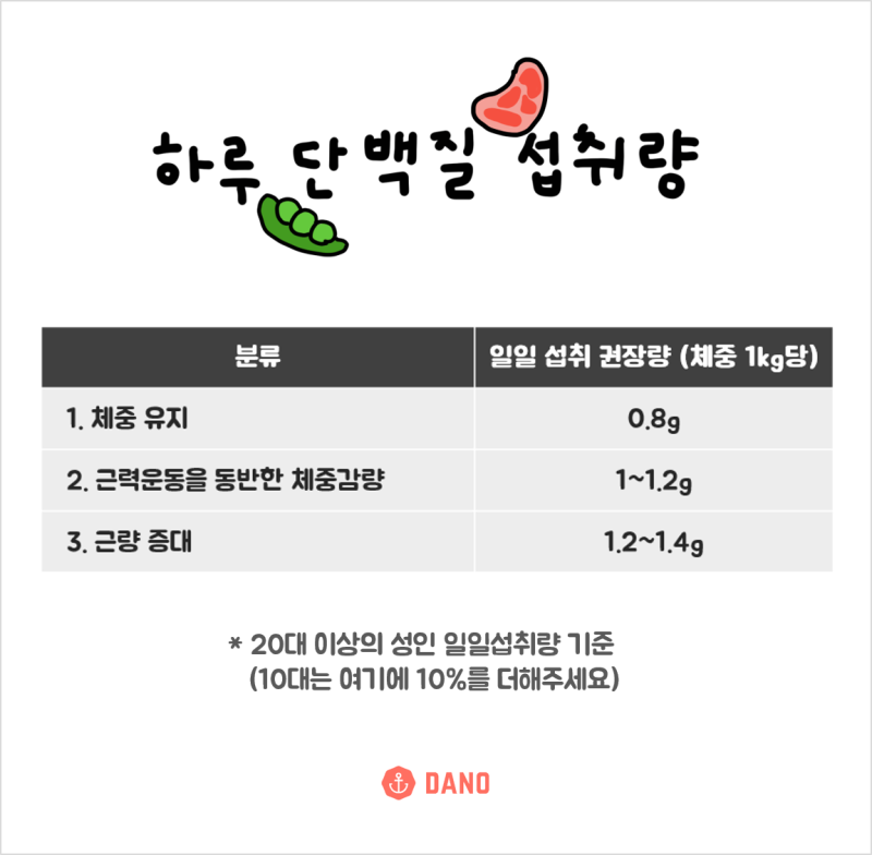 하루 단백질 섭취량 단백질 많은 음식은 다이어터를 위한 단백질 총정리 네이버 블로그