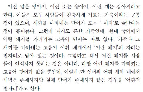  2019 6월 모의고사 국어 문법 기출 _ 11~12번 / 도야지