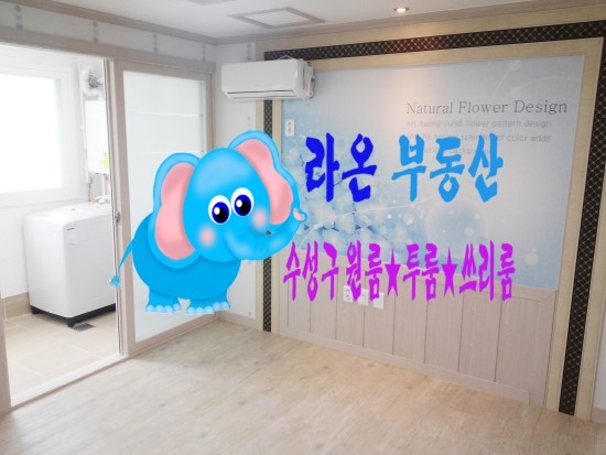  대구 수성구 황금동 원룸/온달장군인근 깔끔한 풀옵션 원룸/라온부동산 직방