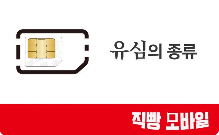  유심의 종류 나노 유심, 마이크로 유심, 일반 유심