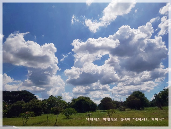  필리핀 일상생활 SM 나들이 더위도 피하고 아이도 즐겁고 맛있는 것도 먹고 SM 쇼핑몰 [놀이방 피서 sm 놀이터 음식점 도쿄도쿄 라멘 인공잔디 광장]
