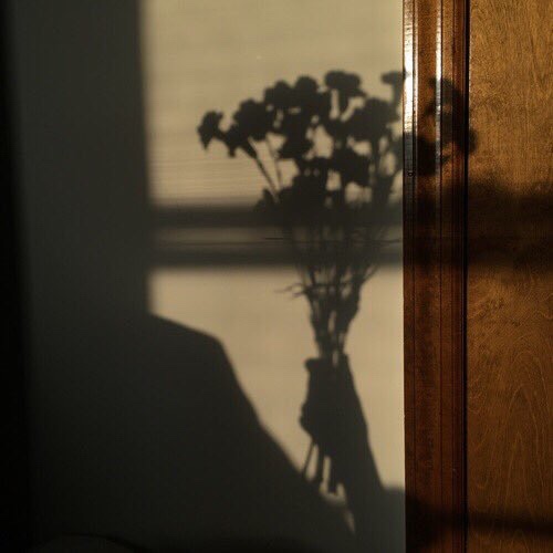 ᴇᴠᴇʀʏᴅᴀʏ