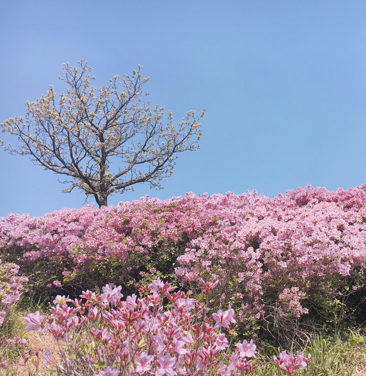  0604 화 일상일기