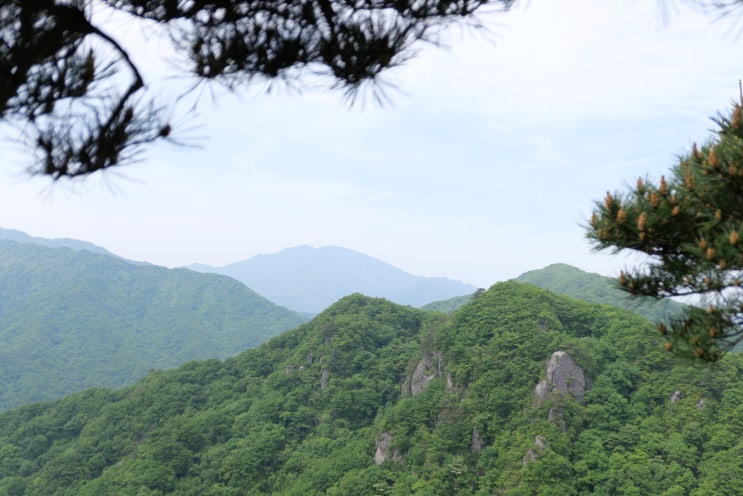  [2019-9]가끔은 느리게 걸어도 좋다(영원사-상무주암-문수암-삼불사-약수암-실상사, '19년 6월 1일, 토)