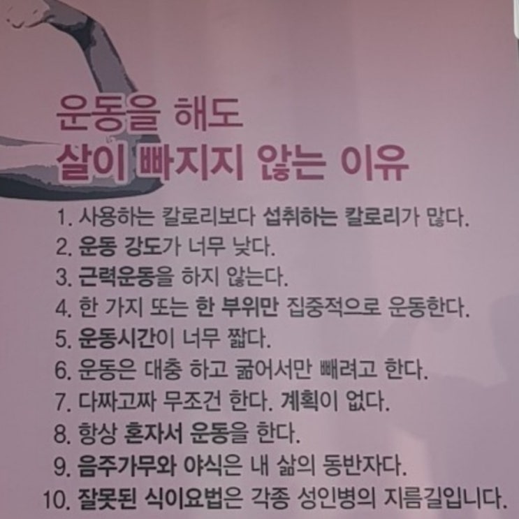  운동을 해도 살이 빠지지 않는 이유.