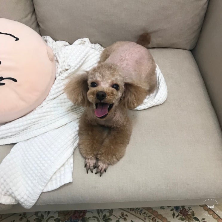  2019. 5. 27. 월 - 2019. 6. 2. 일 /  일주일 일상