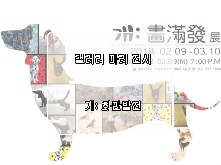  개: 화만발전 갤러리 마리 전시