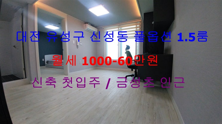  (대전 유성구 신성동) 금성초등학교 인근에 있는 신축 첫입주 ! 월세 풀옵션 1.5룸입니다 ^^