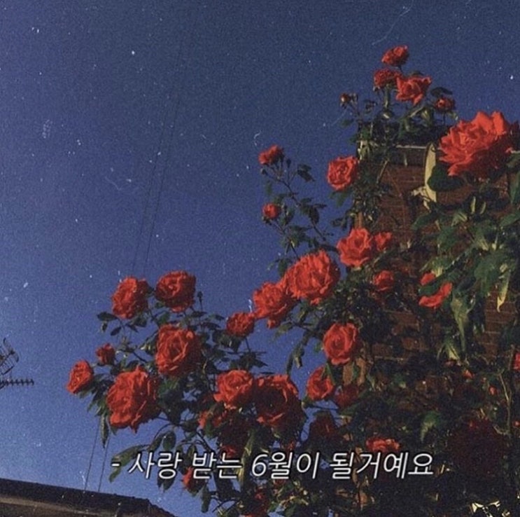  그라운드 스터프, 유림보신원, 일상