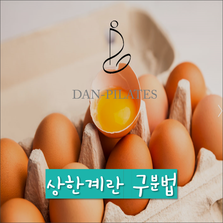 상한계란 구별 tip, 계란 상한거 구별하는 방법 : 네이버 블로그 상한계란 구별 Tip, 계란 상한거 구별하는 방법 : 네이버 블로그