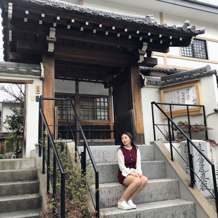  오사카 3일차-오사카 근교 여행, 교토 여행, 청수사, 산넨자카 니넨자카, 후시미이나리 신사, 간사이패스vs한큐패스