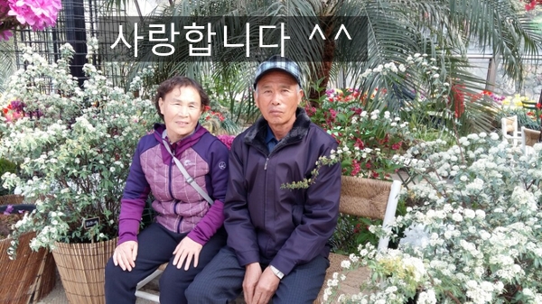  언니야  아빠 또 쓰러지셨어...