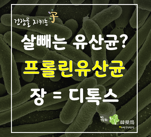  [디톡스 해독] 살빠지는유산균? 프롤린유산균  나쁜독소를 배출 디톡스 성분