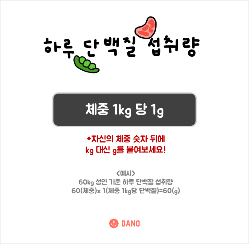 하루 단백질 섭취량 단백질 많은 음식은 다이어터를 위한 단백질 총정리 네이버 블로그