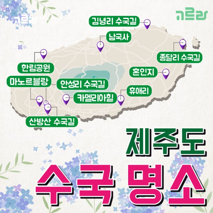  제주 수국 명소 TOP 10, 꽃길만 걸어요