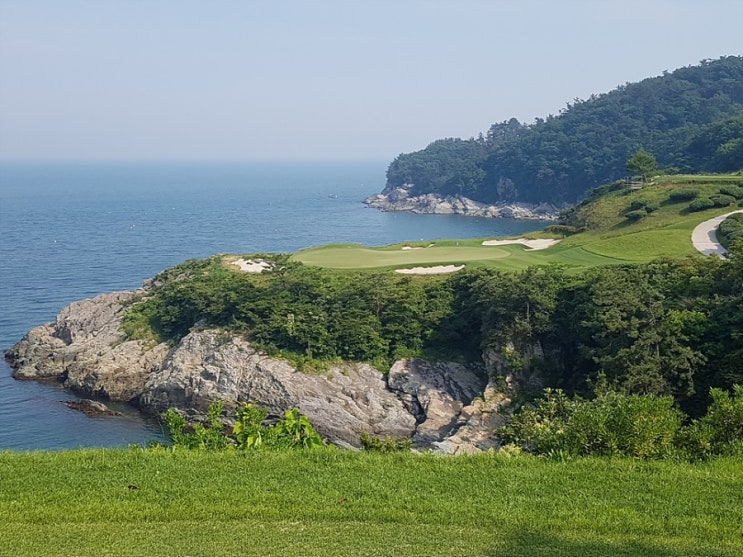 사우스케이프오너스CC 라운딩후기
