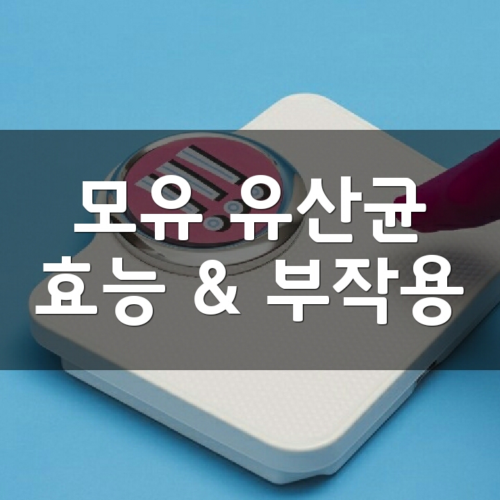  락토바실러스 가세리 (모유 유산균) 효능, 부작용, 권장량, 제품 순위