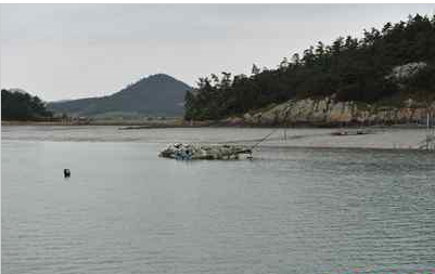 큰바리섬 사진 6
