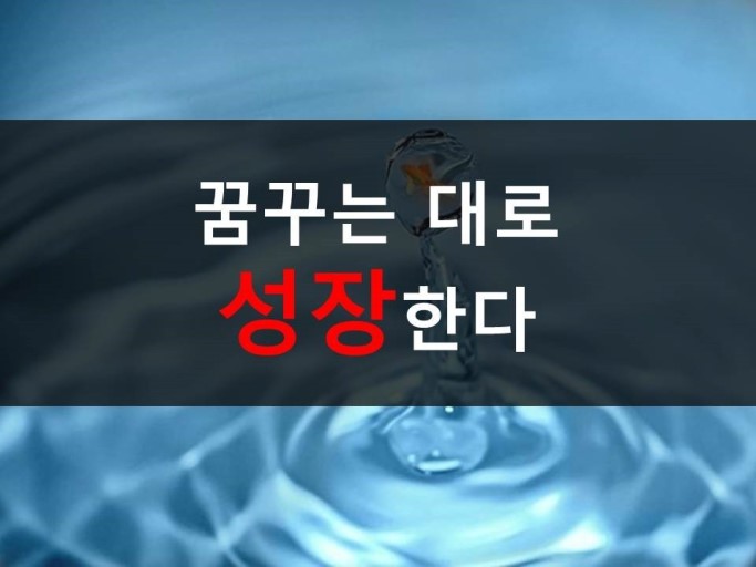  HILIVING 365일 성공습관(2000~1241)        " 꿈꾸는대로"