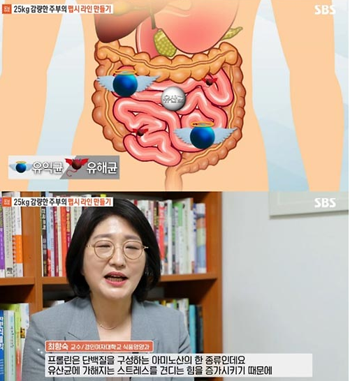  프롤린유산균,뚱보균 억제,뱃살 감소와 다이어트에도 효과