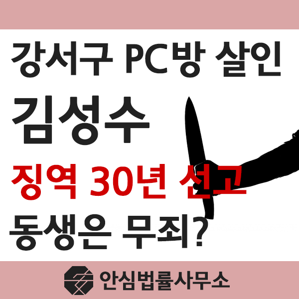 ≪PC방 살인 <b>김성수 1심</b>에서 징역 30년! 동생은 <b>무죄</b>?≫