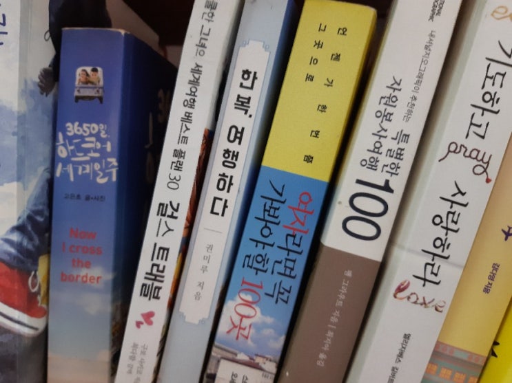  도서관 속 세계여행 책들