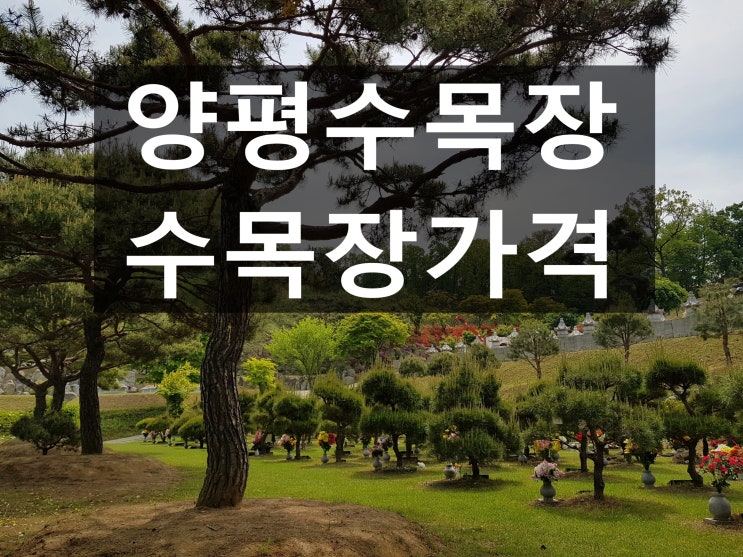  양평수목장 위치와 가격을 안내드립니다.