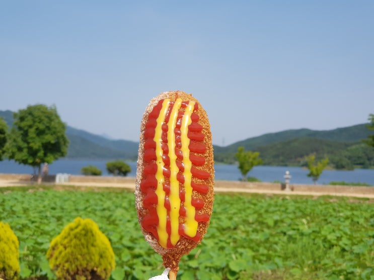  [양평 여행 정보] 전지적 참견 시점에 나온 양평 두물머리 연잎핫도그 후기ㅣ주차방법 ㅣ솔직후기 ㅣ핫도그가격ㅣ양평 분위기 좋은 카페 옴니ㅣ양펴카페 ㅣ주차가능카페