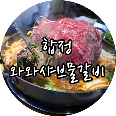  합정역 맛집 와와샤브물갈비면 홍대 고기집 평정~