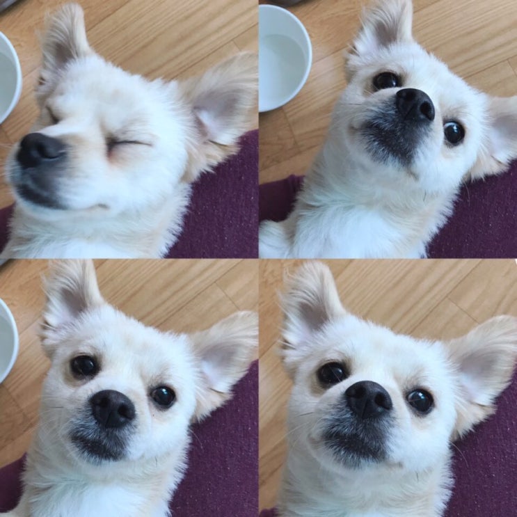 시험기간 ①