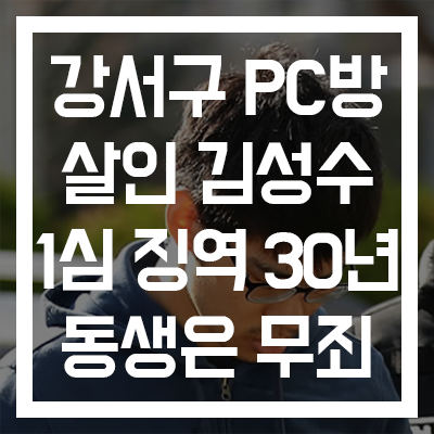  [강서구 PC방 살인] 가해자 김성수 '1심 징역 30년, 동생은 무죄 선고'