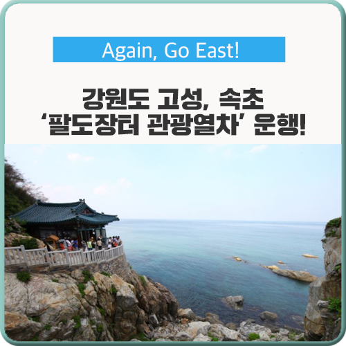  강원도의 전통시장 체험과 지역 관광을 한 번에! '팔도장터 관광열차'