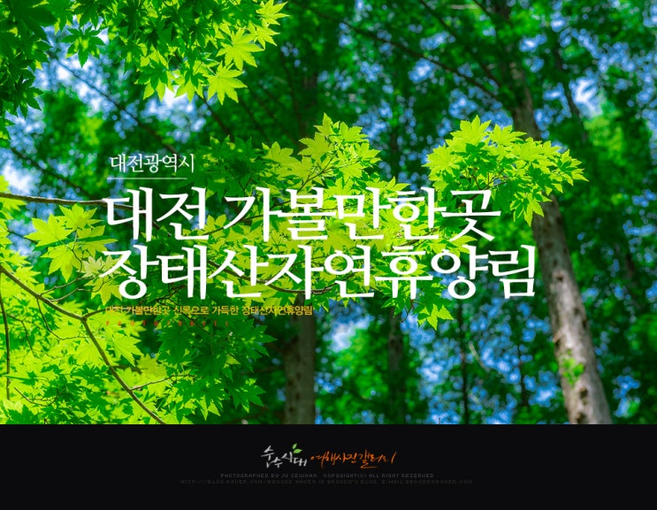  국내여행지 추천 대전 장태산자연휴양림