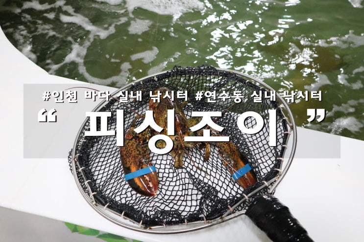  인천바다실내낚시터 연수동 피싱조이 회까지 득템