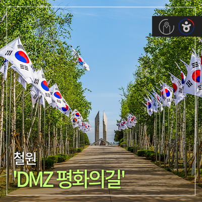 6월부터 철원 'DMZ 평화의길' 개방!