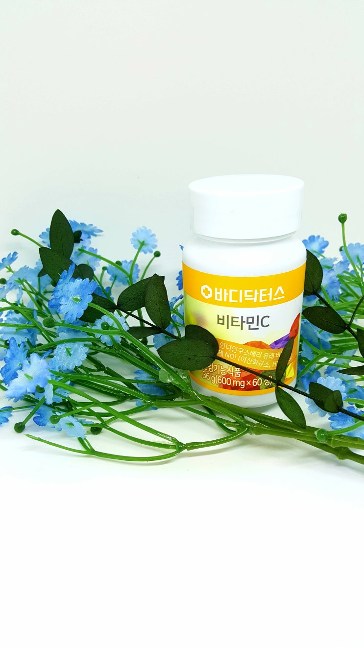  바디닥터스 비타민C 효능 인디안구스베리