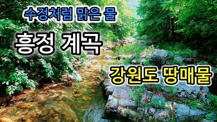  수정처럼 맑은 개울물 흐르는 흥정계곡 토지매매 강원도 땅매물