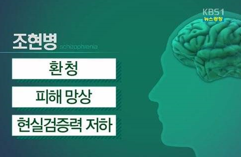 조현병이란? 조현병 요인과 해결책은..