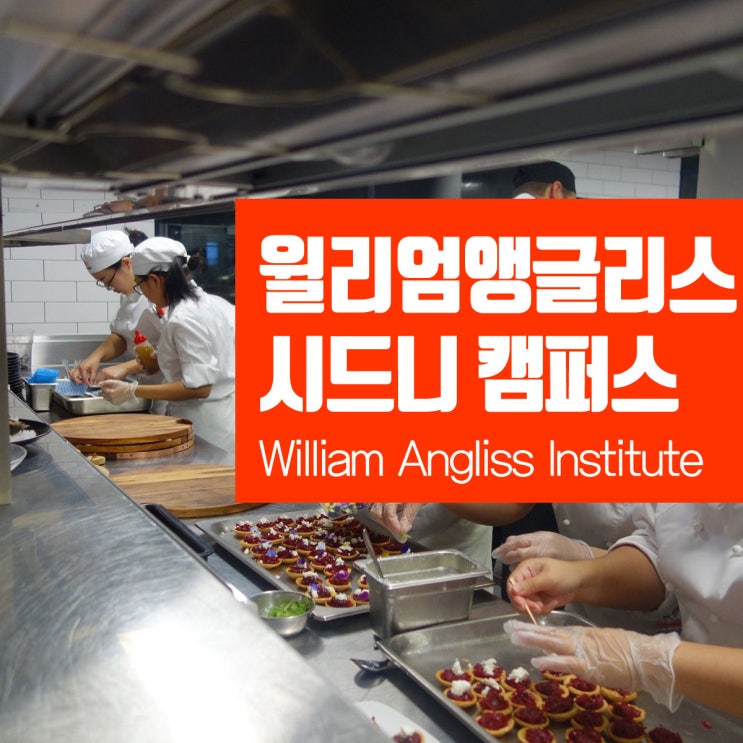  호주 영주권 요리학교 : 윌리엄 앵글리스 시드니 캠퍼스 쿠커리 과정 입학조건 및 학비