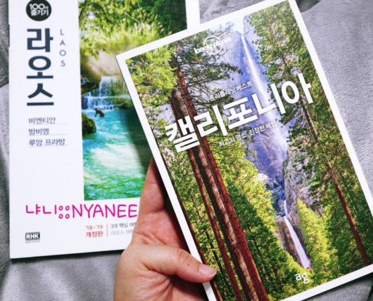  #잡소리TMI#내가미국을국적기로가다니#론니플래닛베스트캘리포니아#100배즐기기라오스
