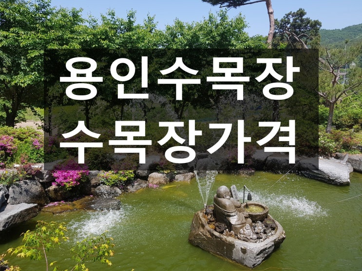  용인수목장 조용하고 편안합니다.