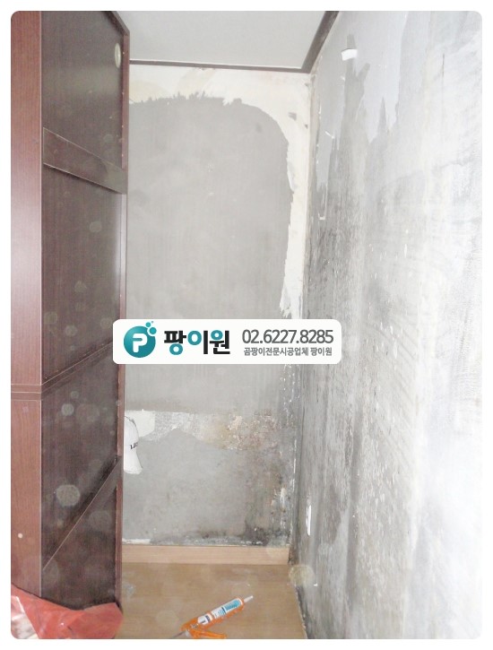  주택 벽지 곰팡이제거 완전 해결~