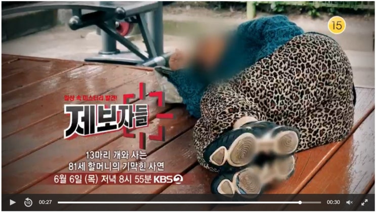 제보자들 120회 13마리 개와 사는 81세 할머니의 기막힌 사연 제보자들 120회 13마리 개와 사는 81세 할머니의 기막힌 사연
