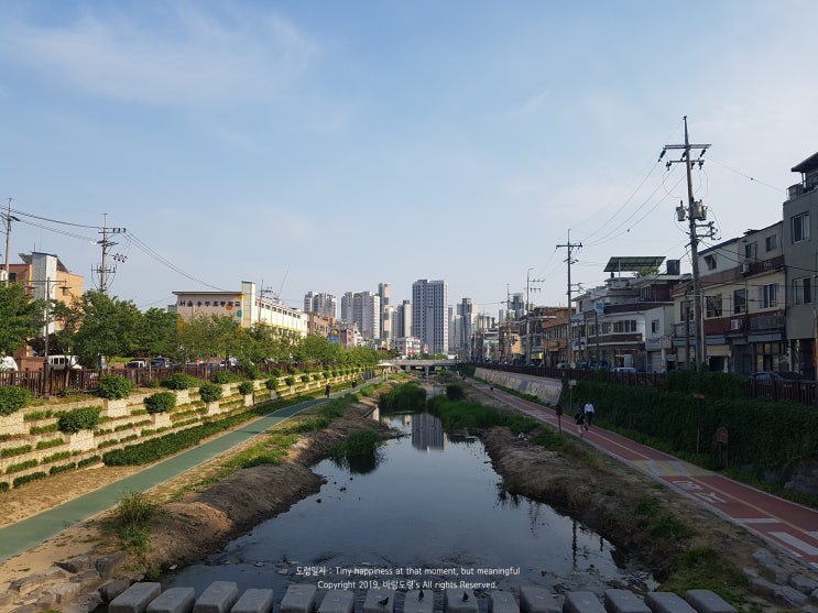 따스한 5월 말의 일상 따스한 5월 말의 일상