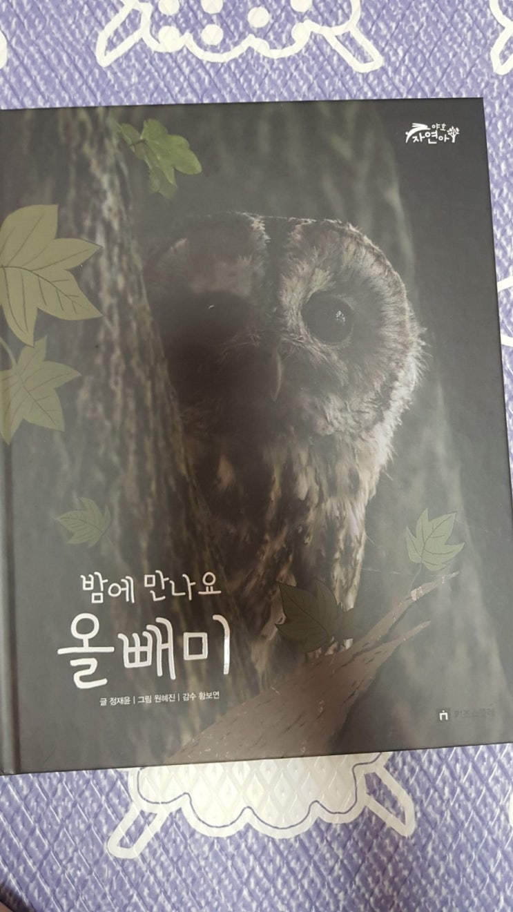 (독전 or 독후활동)밤에 만나요 올빼미, 밤에 날아요 수리부엉이